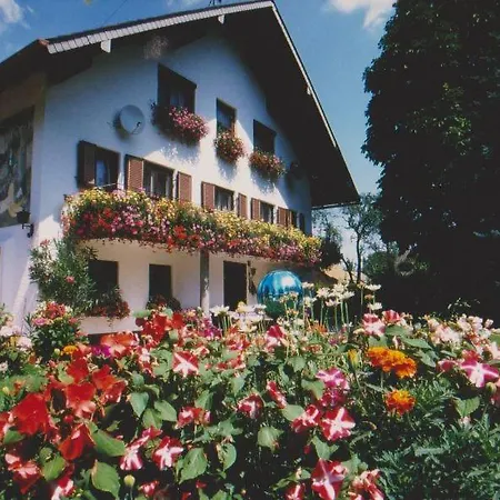 Ruheoase In Der Nahe Am Attersee *