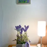 Homestay Ruheoase In Der Nahe Am Attersee
