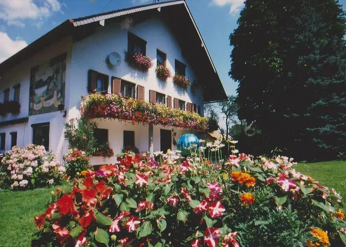 Ruheoase In Der Nahe Am Attersee *